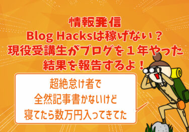 Blog Hacks(ブログハックス)は稼げない？現役受講生が１年ブログに取り組んだ結果